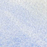 Mar de Sophia, aquarelas